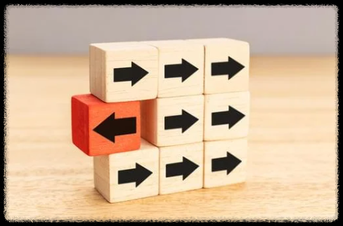 창의적 리더십의 비밀, 누구도 대체할 수 없는 존재가 되는 법 세스 고딘의 린치핀 전략 자신감 키우기 자존감 성공 마인드셋