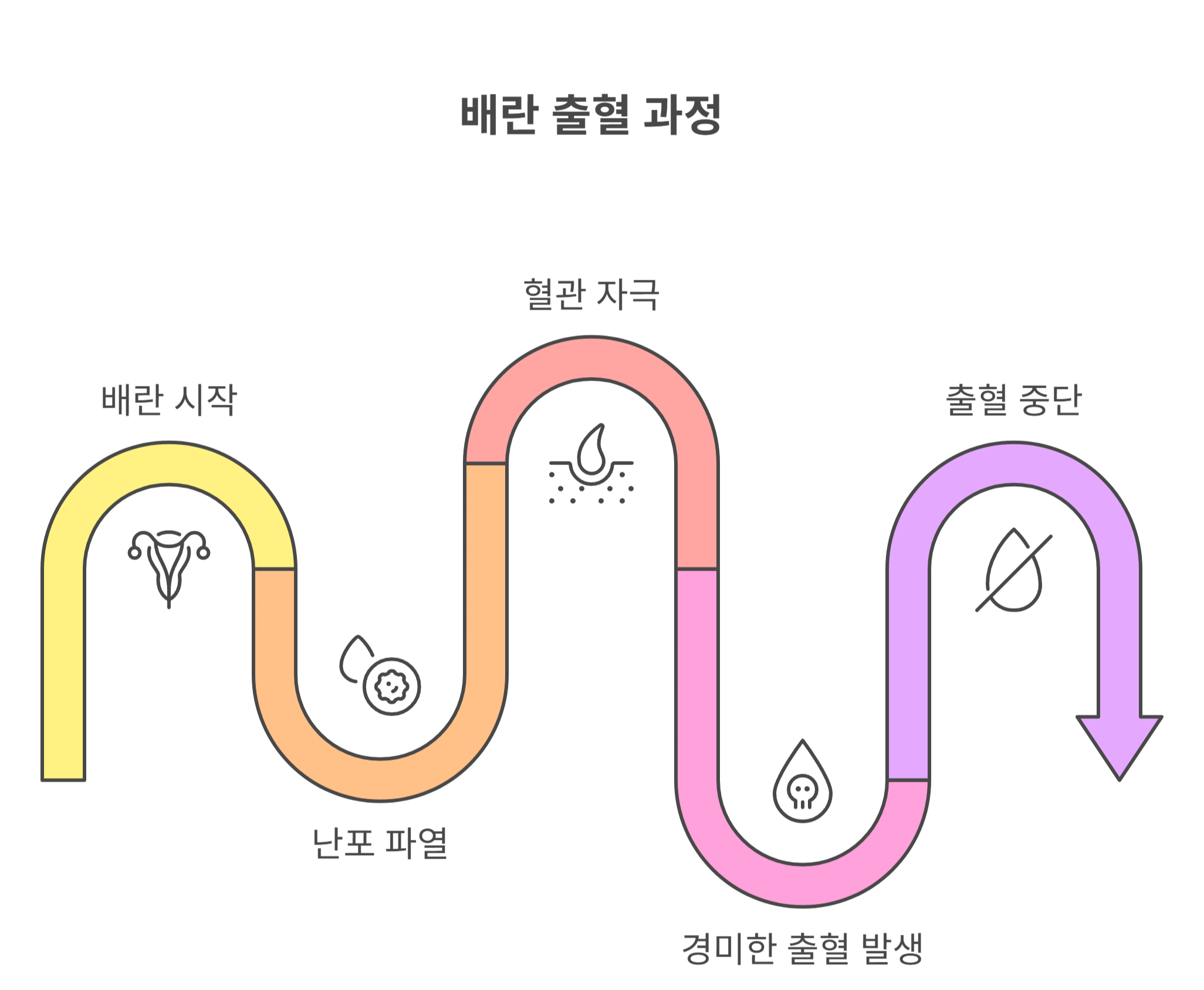 배란 출혈, 왜 생기는 걸까