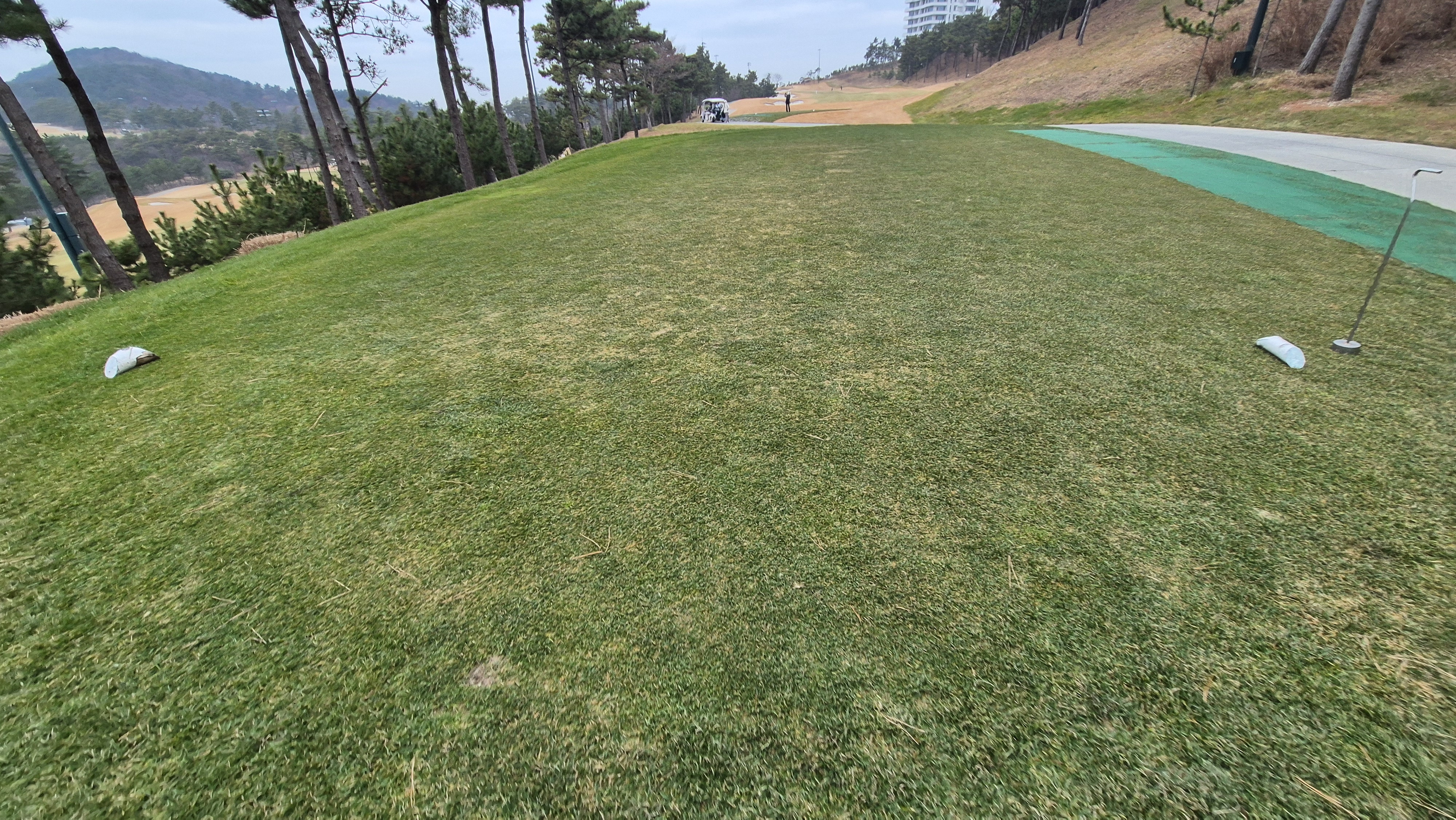 더헤븐cc 사우스-웨스트 코스 티잉구역 상태