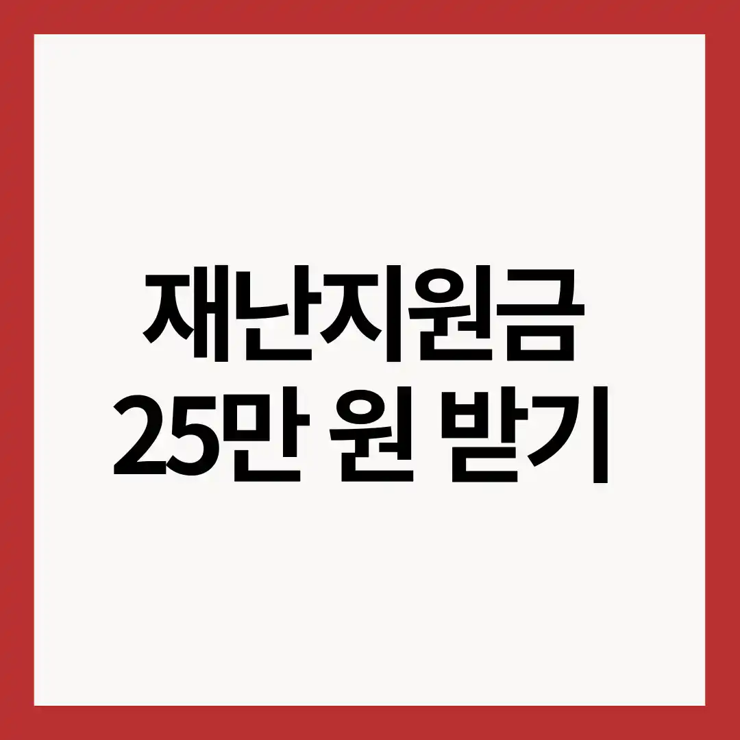 재난지원금-25만원