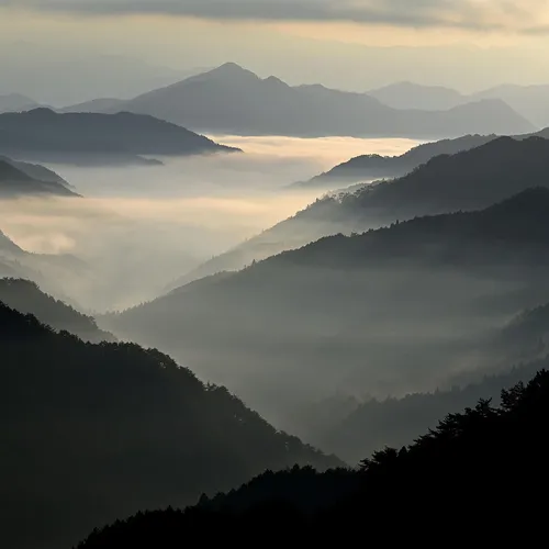 타목시펜