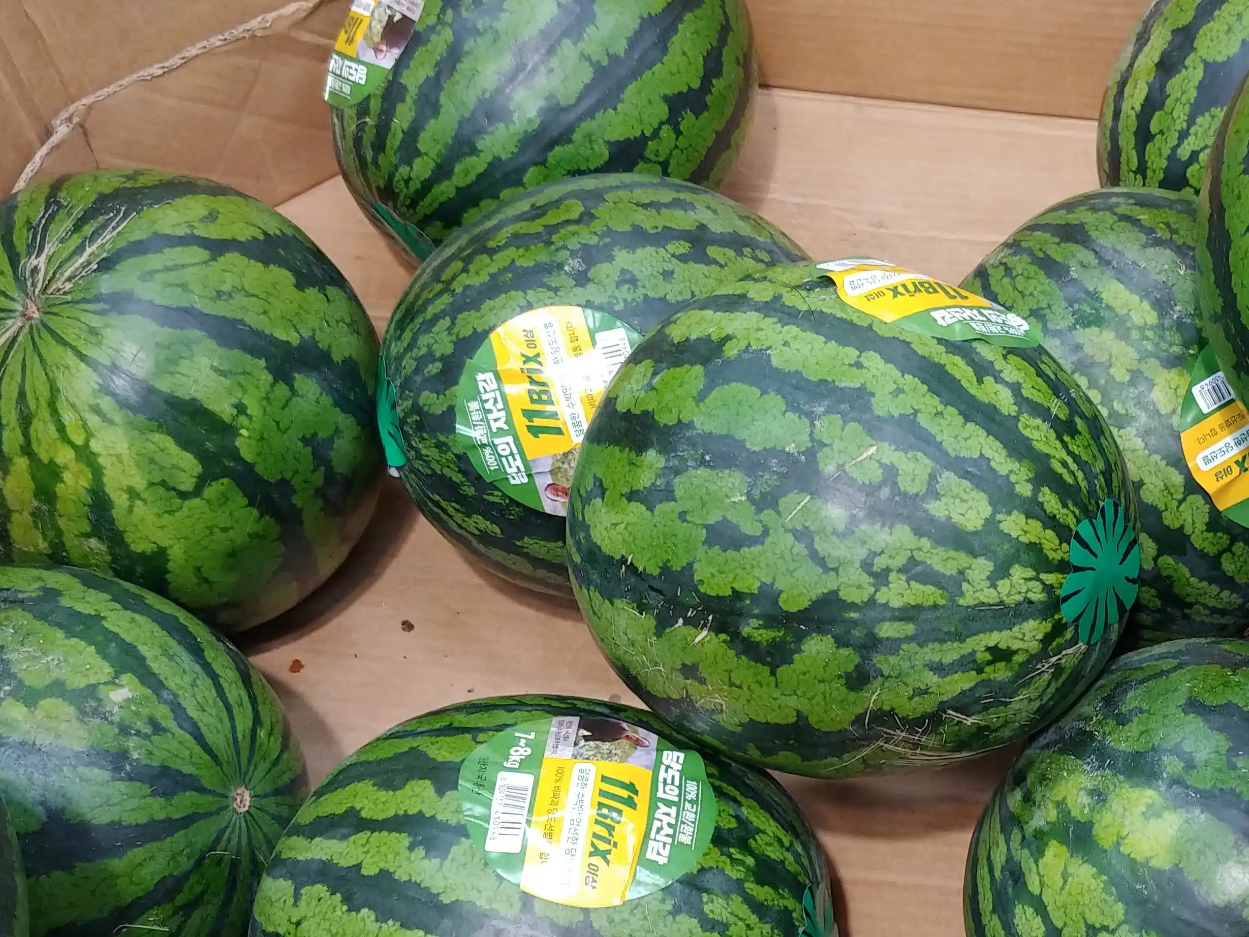 마트 수박코너에 11브릭스 스티커가 붙은 수박의 모습