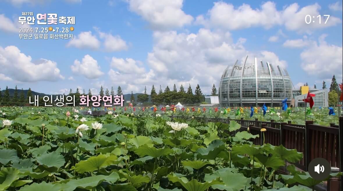 무안 연꽃축제