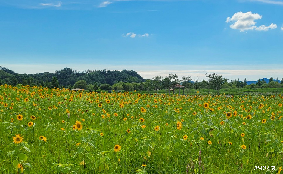 익산 가볼만한곳 베스트10