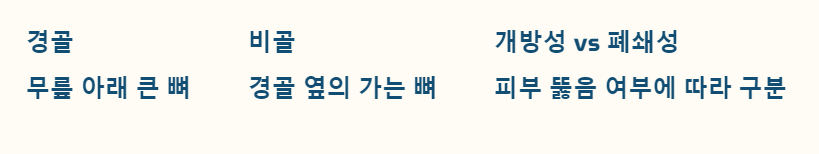 교통사고로 인한 경비골 골절의 유형