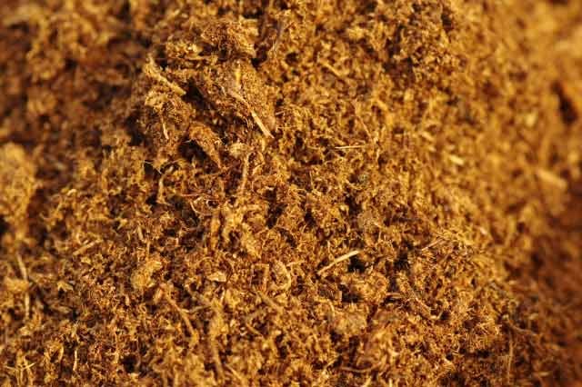 피트모스 peatmoss