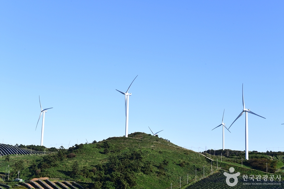 영암 가볼만한곳 베스트10