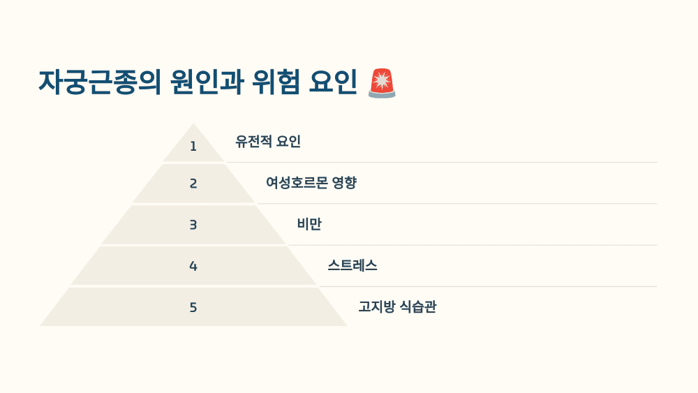 자궁근종의 원인과 위험 요인