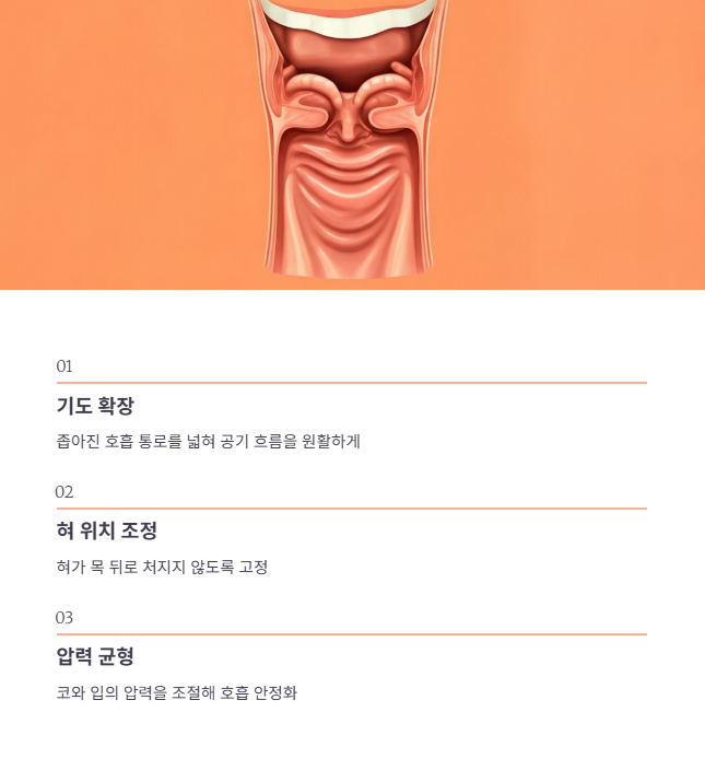 코골이방지기구의 원리와 필요성