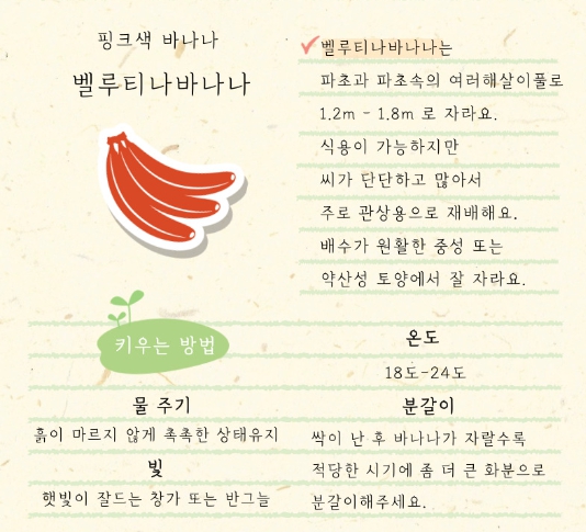 국립세종수목원 반려식물 클리닉