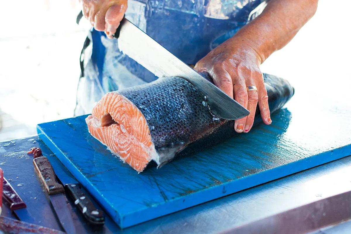 salmon
