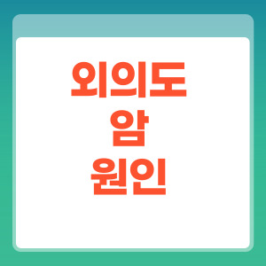 외이도암