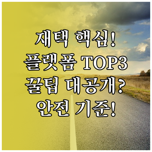 성공적인 재택 소득을 위한 핵심 플랫..