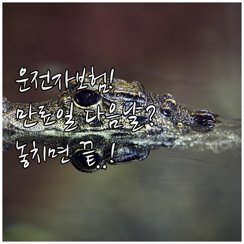 운전자보험 만료일 하루라도 지나면 발..