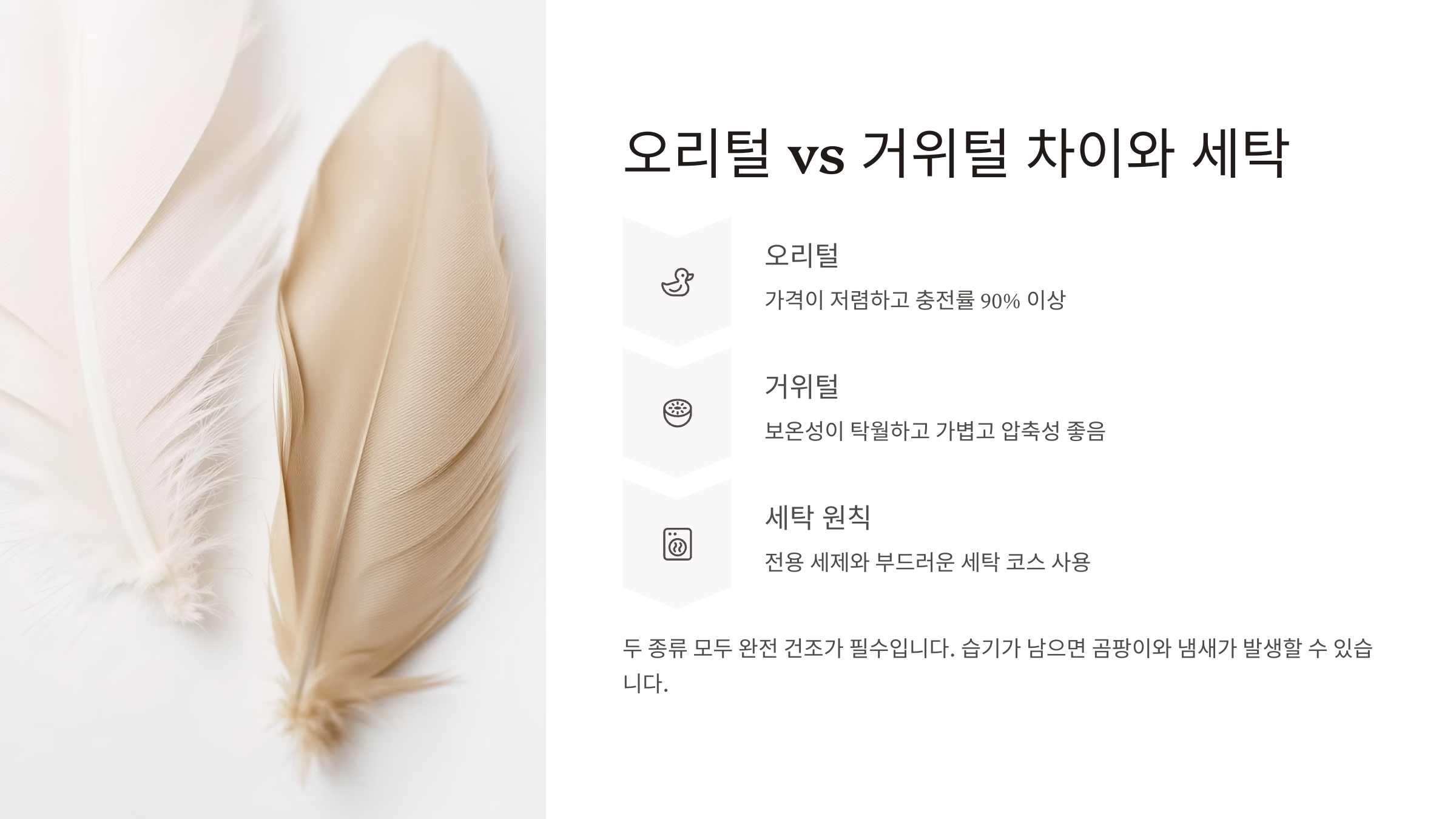 오리털 vs 거위털 차이와 세탁
