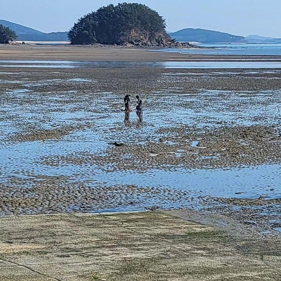 월하성 어촌체험마을