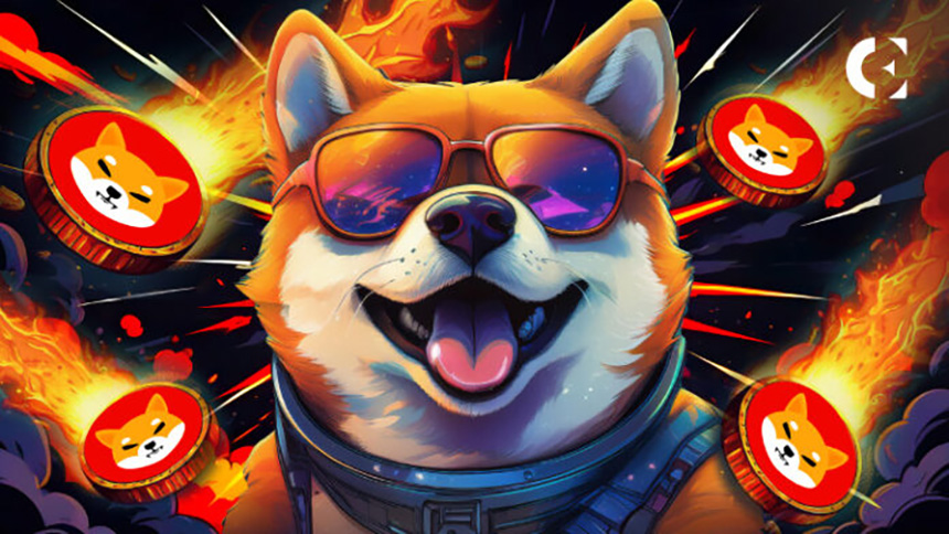 시바이누(SHIB)-코인-전망