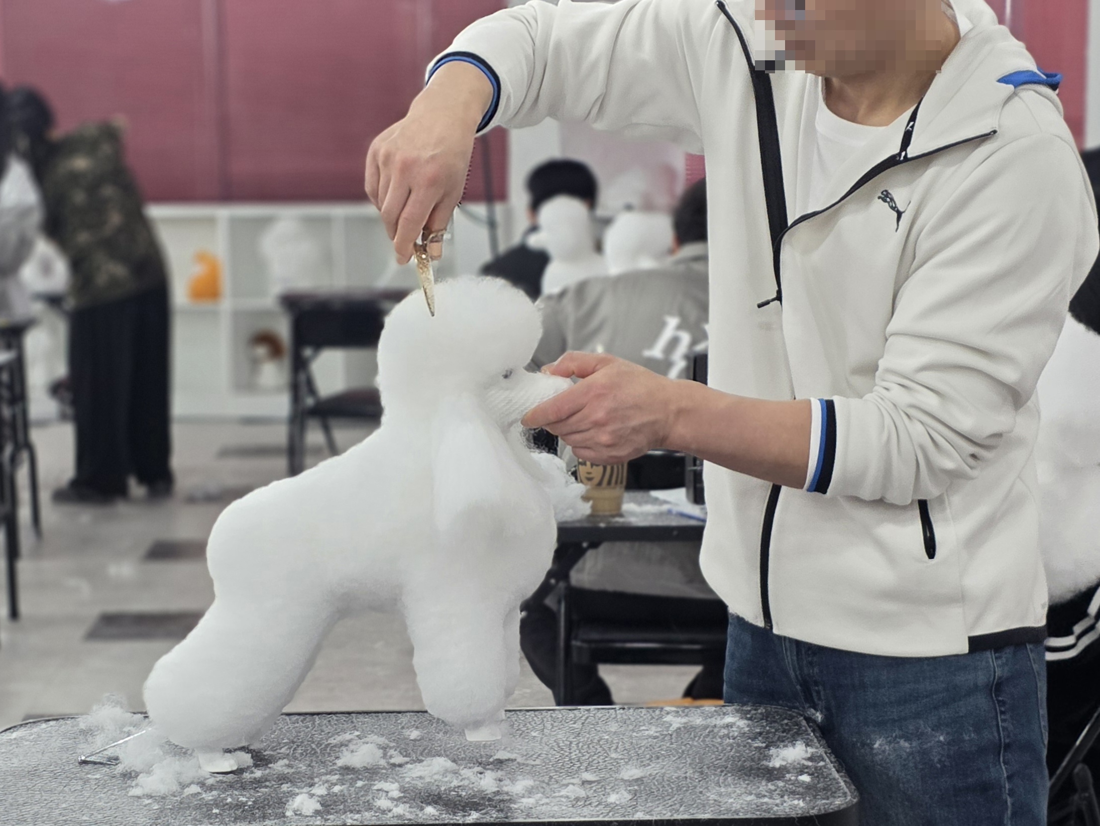 신림동애견미용학원