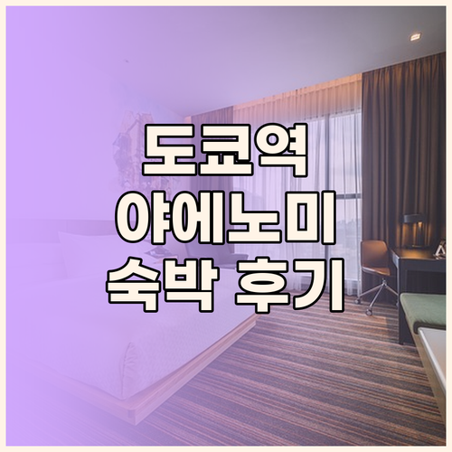 도쿄역 근처 호텔 야에노미도리 도쿄 