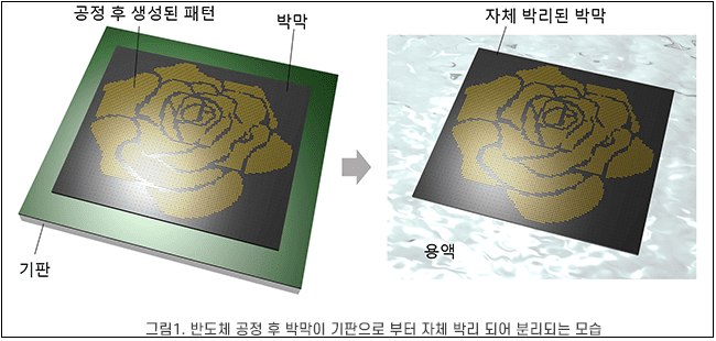 포스텍, 반도체도 1+1 박막 앞뒷면 모두 반도체 만들어내는 기술 개발