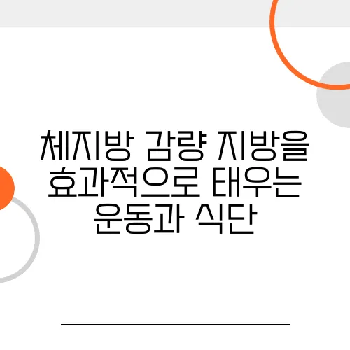 체지방 감량 지방을 효과적으로 태우는 운동과 식단