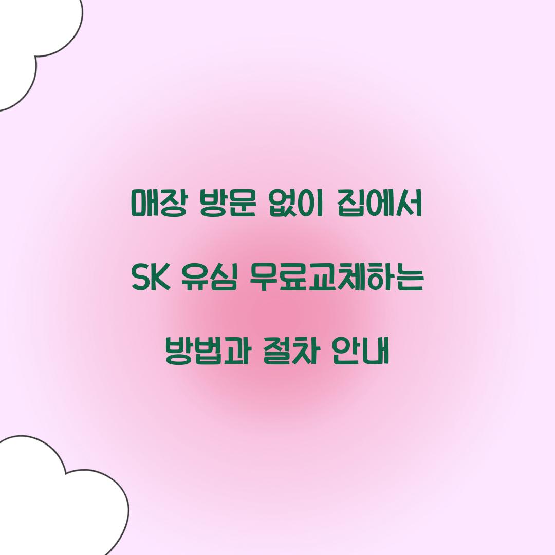 매장 방문 없이 집에서 SK 유심 무료교체하는 방법