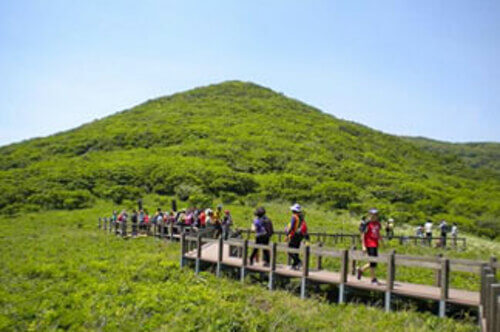 숲나들이E 예약