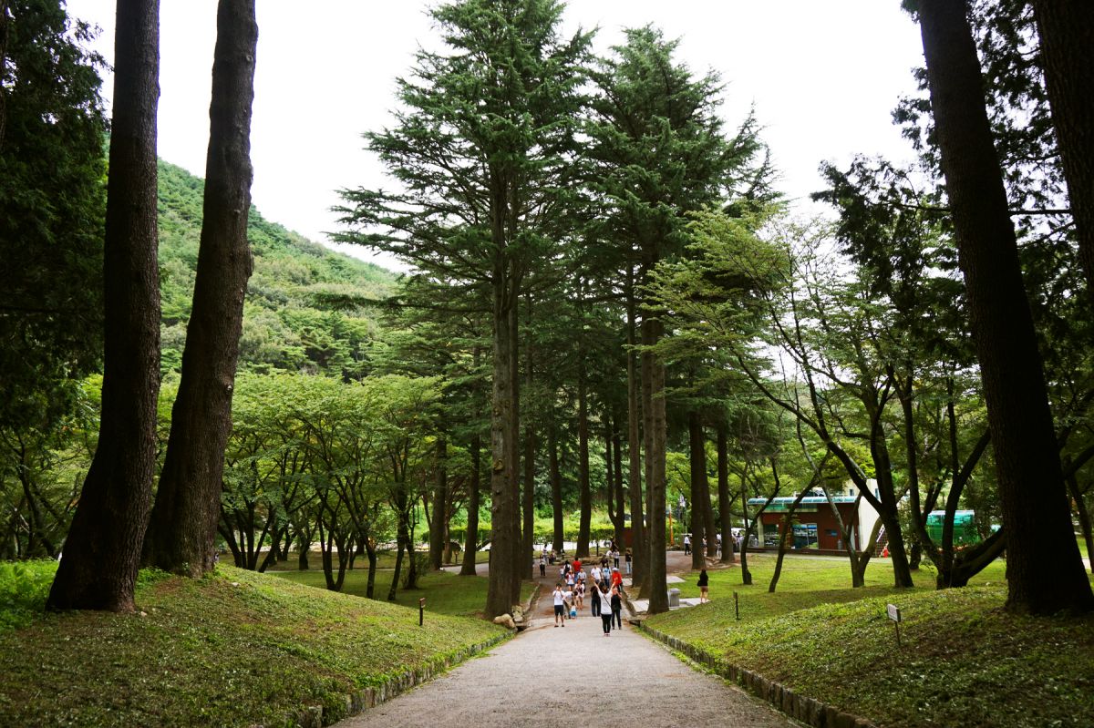 양산 가볼만한곳 - 법기수원지