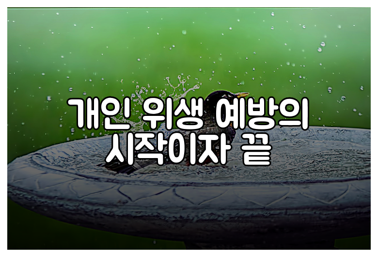 개인 위생 예방의 시작이자 끝