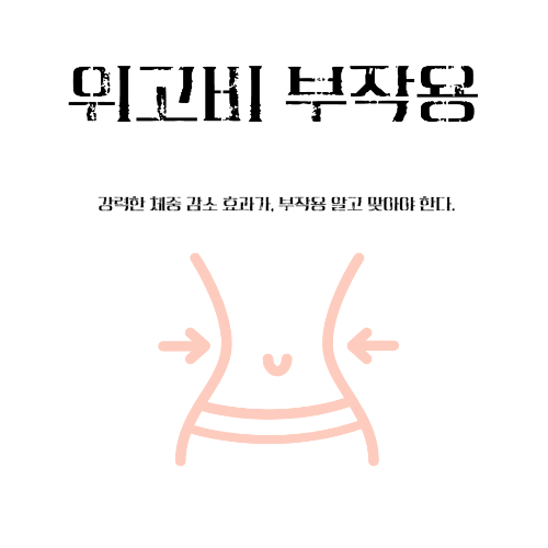 위고비-다이어트