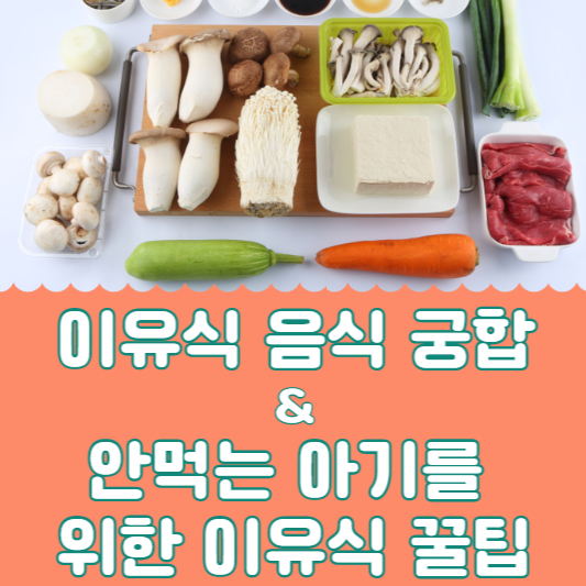 이유식음식궁합