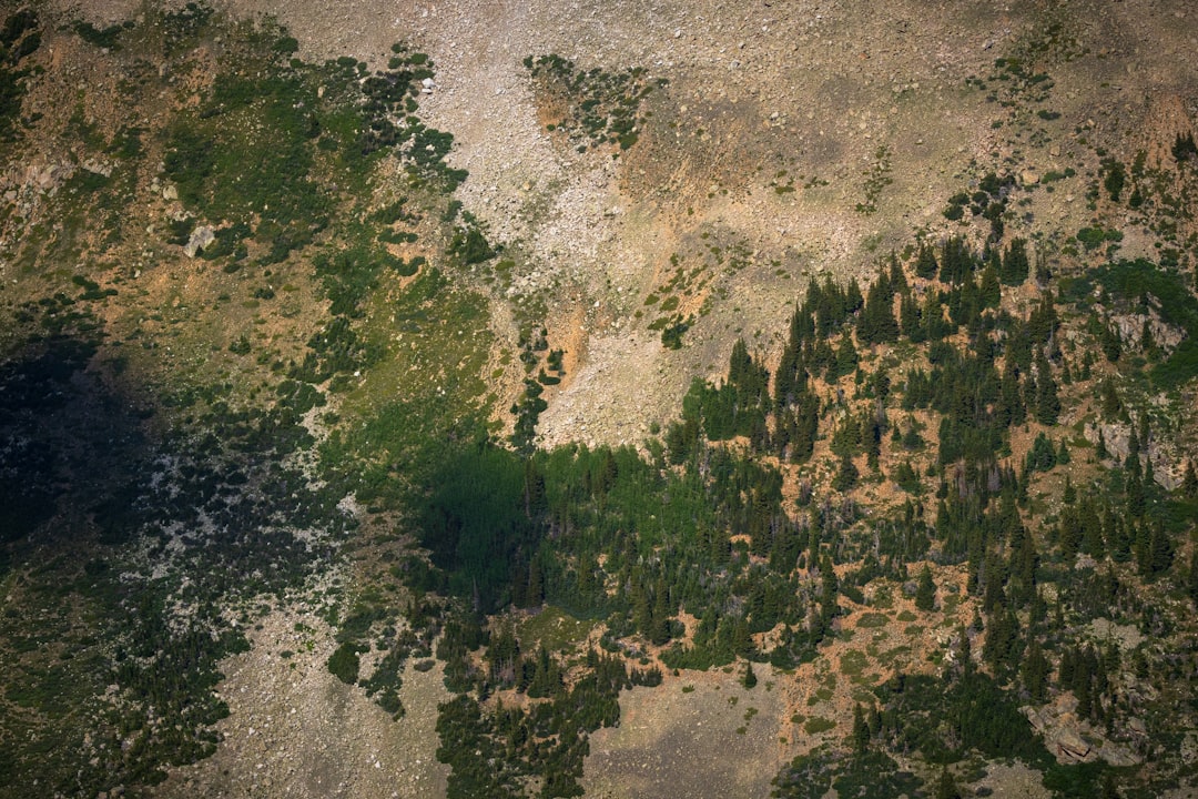 Geospatial.