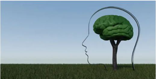 Deep knowing about myself, Deep psychology