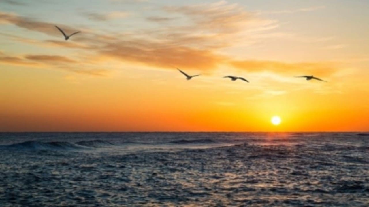 ‘이번엔 진짜’ 다짐만 반복된다면? 당신도 '헛된 희망 증후군'