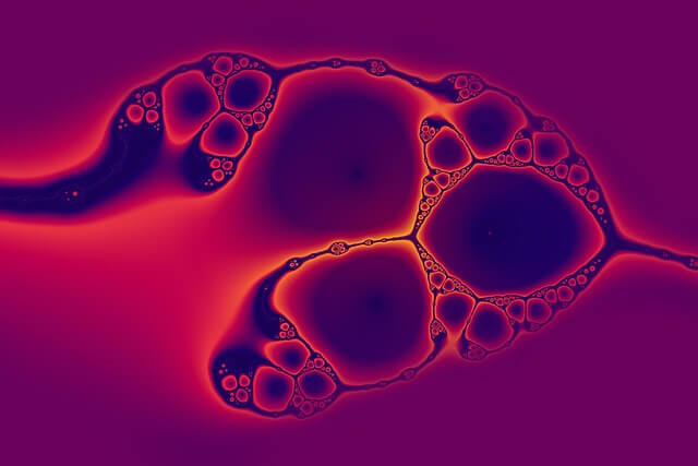 뇌의 미세신경망: 신경세포 간의 상호작용과 뇌의 정보 처리