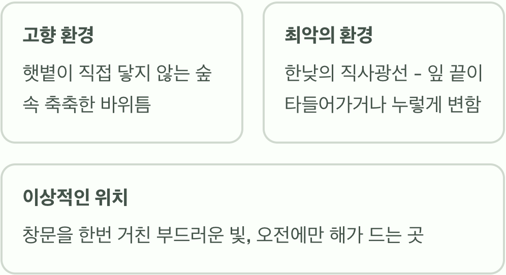 최고의 명당&amp;#44; &amp;#39;밝은 그늘&amp;#39;을 찾아주세요
