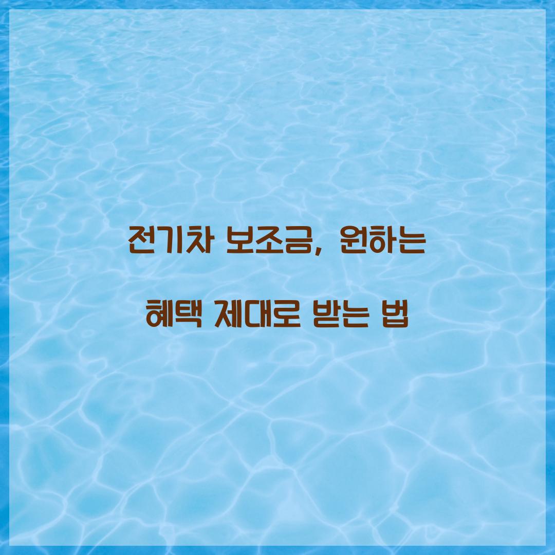전기차 보조금