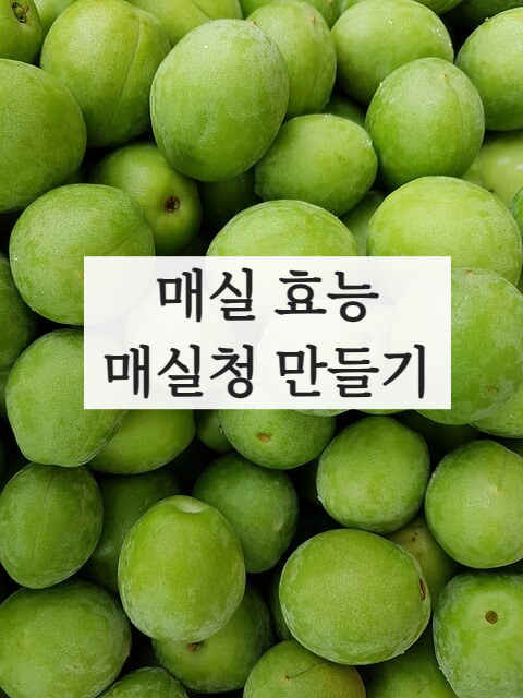 매실 효능 매실액기스 매실청