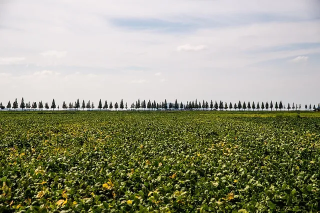 부안 맛집 베스트10 진짜 제대로된 현지 맛집_5
