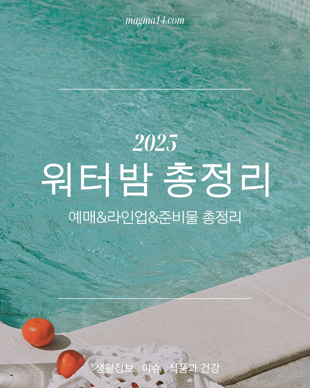 2025 워터밤 서울 요약 정리!