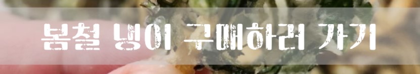 봄나물 대표 냉이 튀김 만드는 법 냉이 손질 무침 황금 레시피