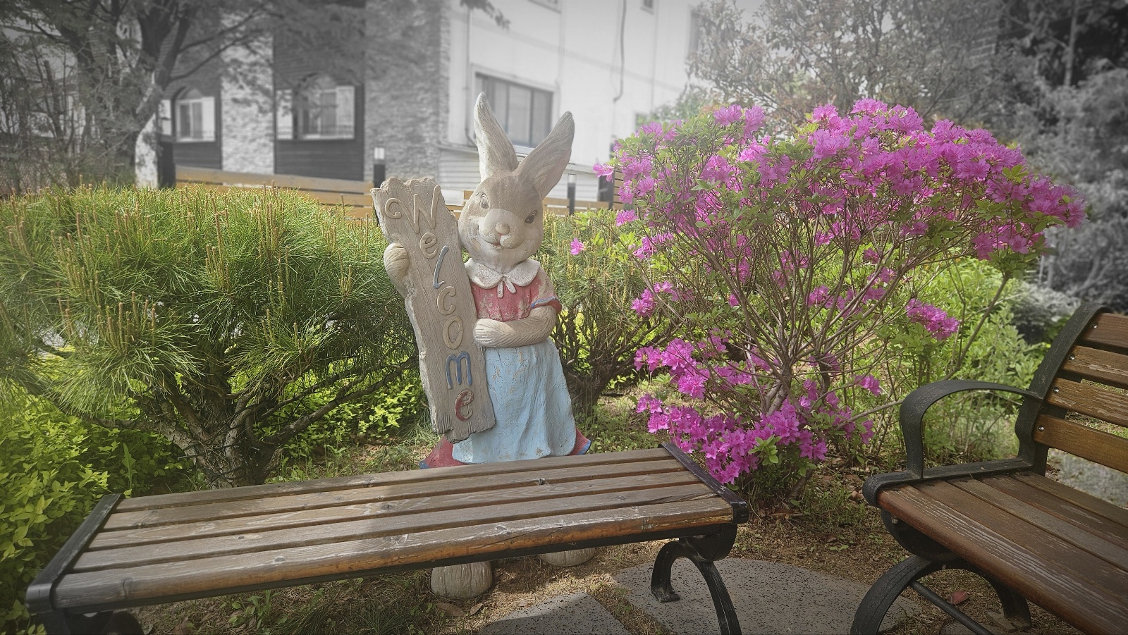 #평택 맛집&amp;#44; #평택조리고&amp;#44; #조리고본점&amp;#44; #평택코다리조림&amp;#44; #시래기코다리조림&amp;#44; #평택가족외식&amp;#44; #평택점심맛