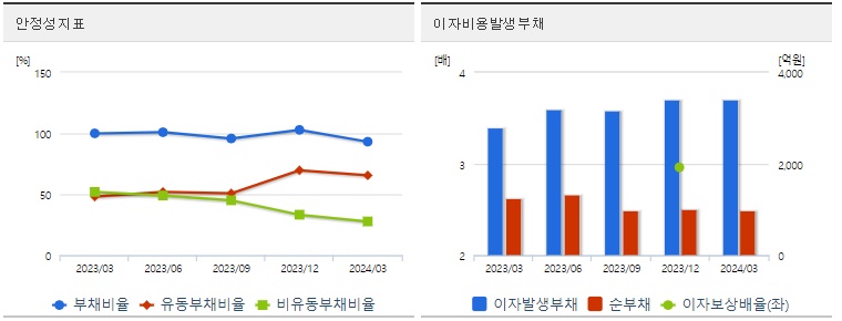 삼양식품 주가 분기 안정성