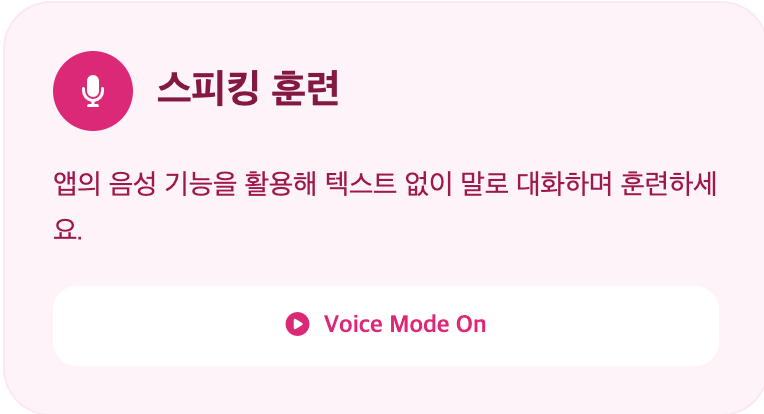 스피킹 훈련 설명