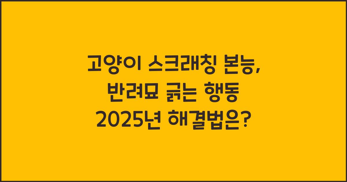 고양이 스크래칭 본능, 반려묘 긁는 행동 해결