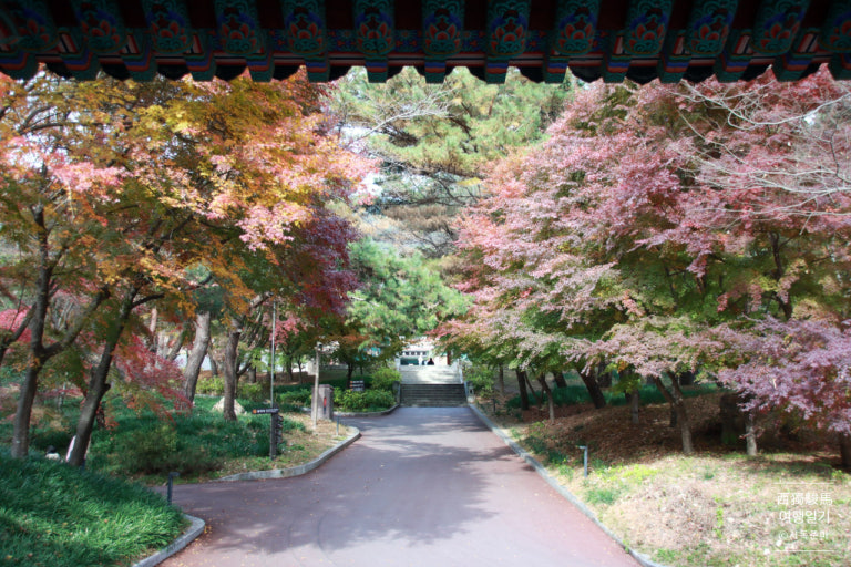 충남 단풍명소 TOP5 + 숨겨진 가을 여행지 3곳 관련 사진