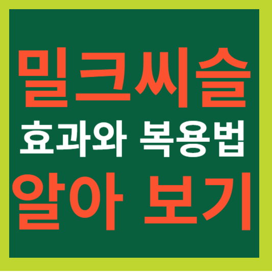 밀크씨슬 효과와 복용법 알아 보기