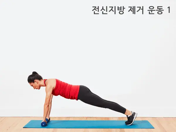 전신지방 태우는 운동 다이어트 하루5분운동