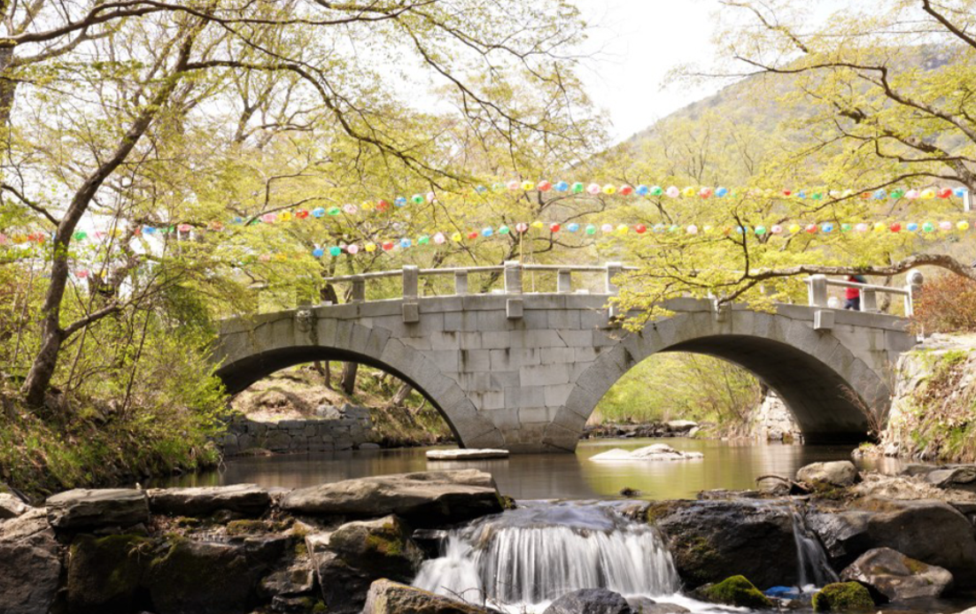 2026 고창 반값여행 완벽 가이드 최대 70% 환급 + 신청방법 코스 총정리