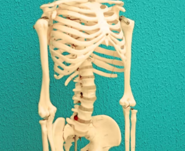 골다공증에 좋은 음식 예방 식단